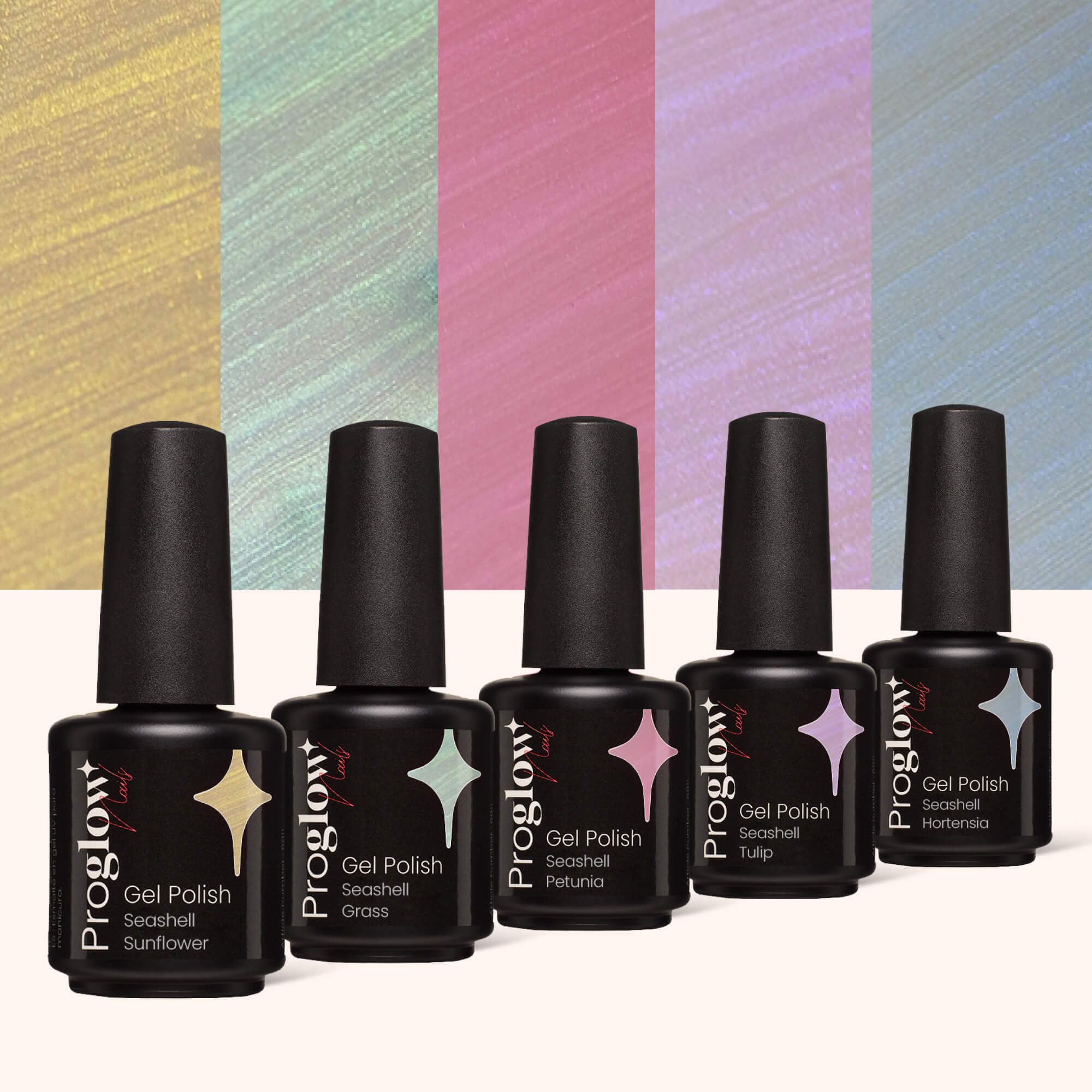 Coffret VSP Seashell