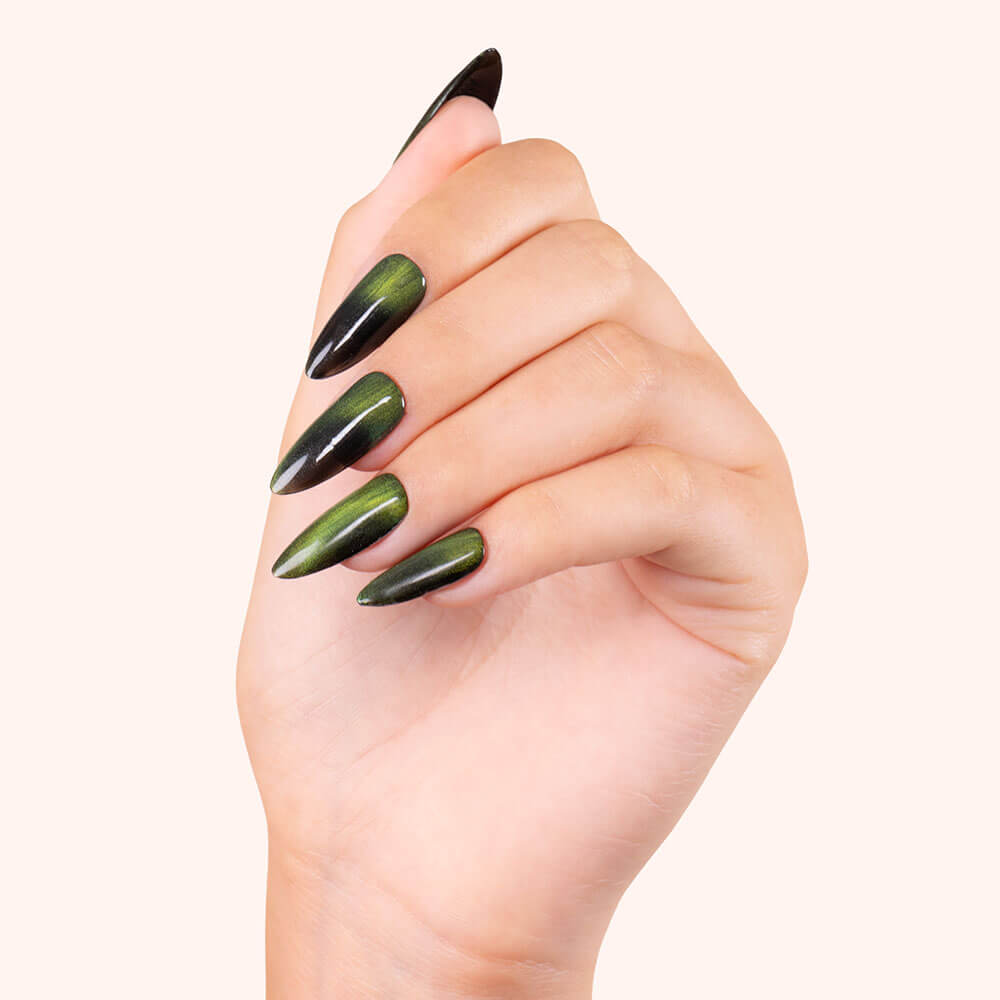 Gel Polish VSP Cat Eye Pisces