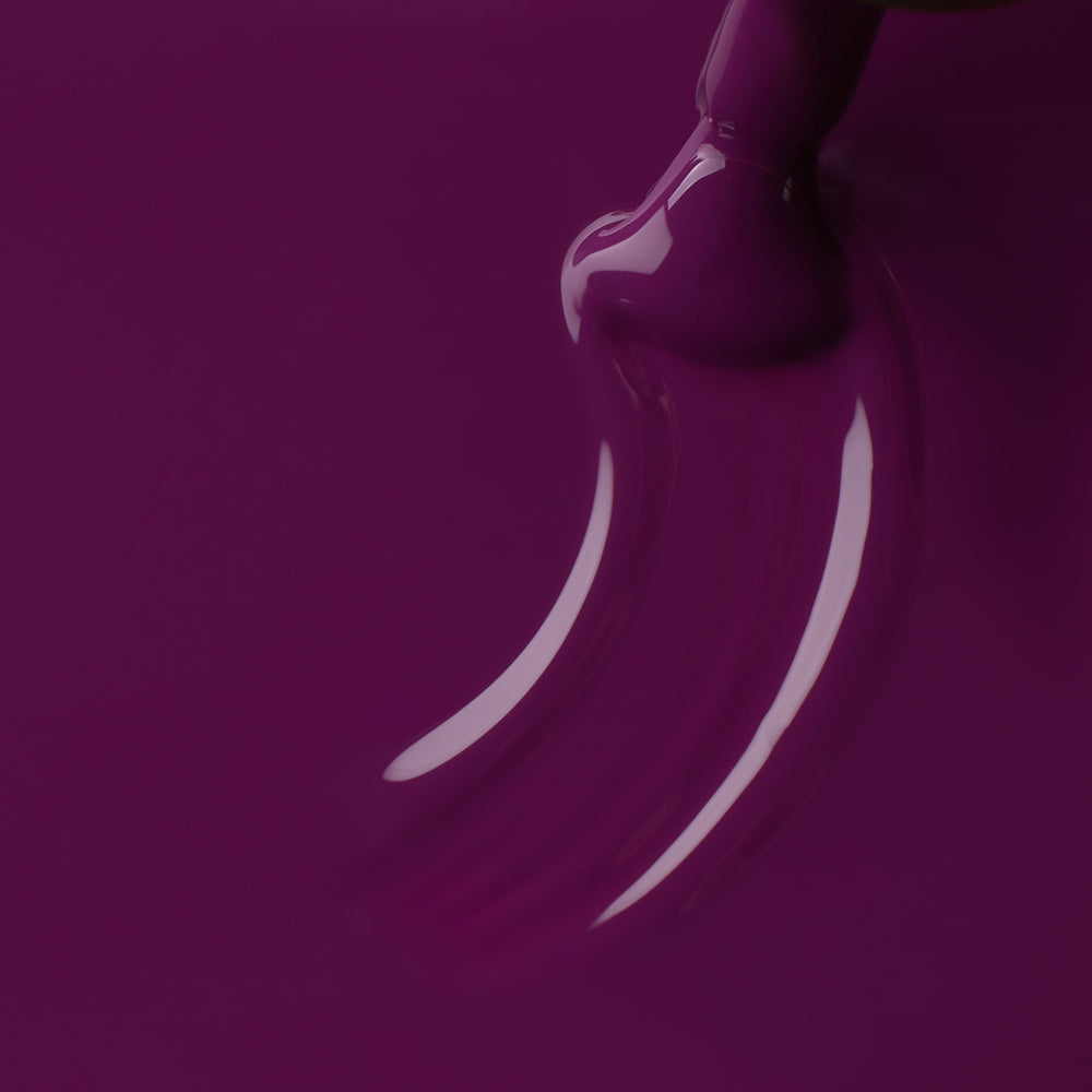 Gel Polish VSP avec la couleur Prune
