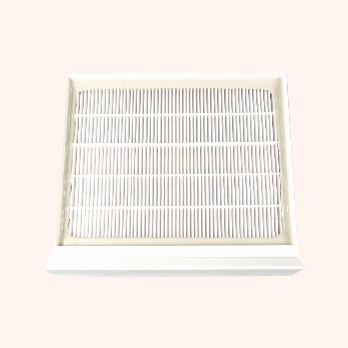 Filtre de rechange Professional Flat