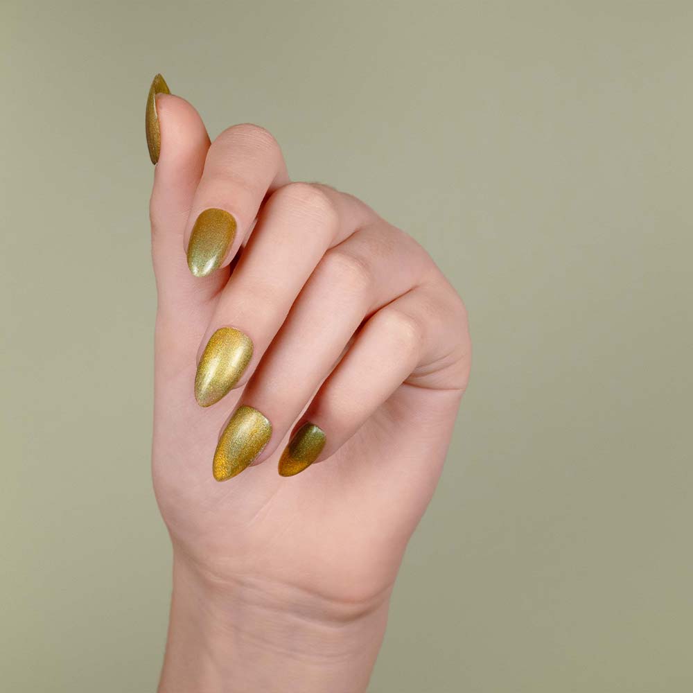 Gel Polish VSP Cat Eye Golden Leafs