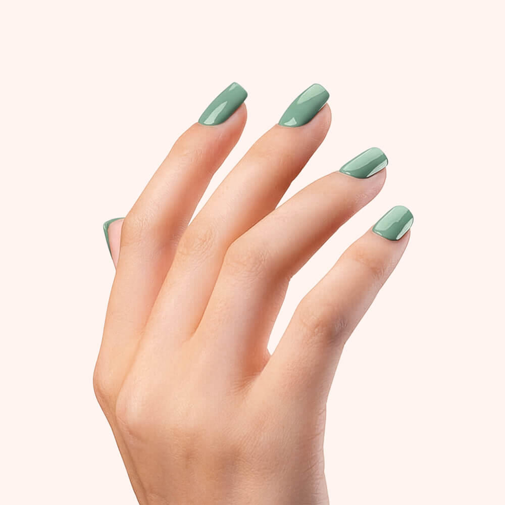 Color Gel Matcha Mochi