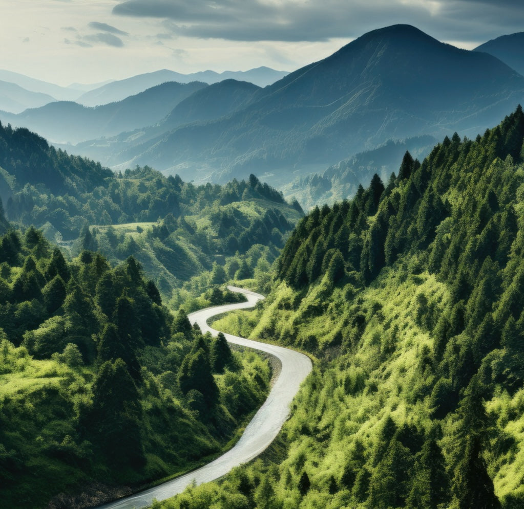 Couleur vert foret tendance été 2024 