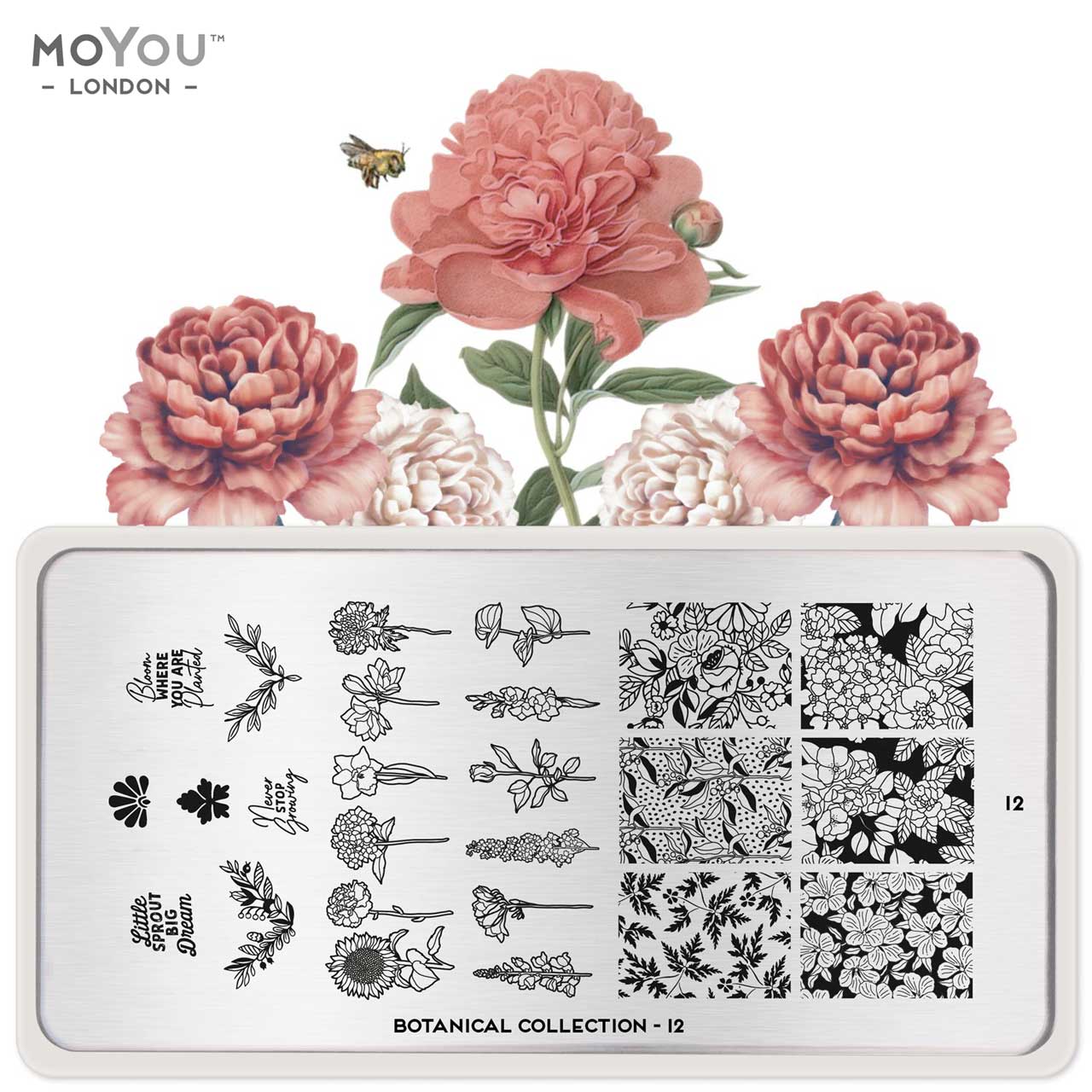 Plaque Stamping Botanical 12 - MoYou London